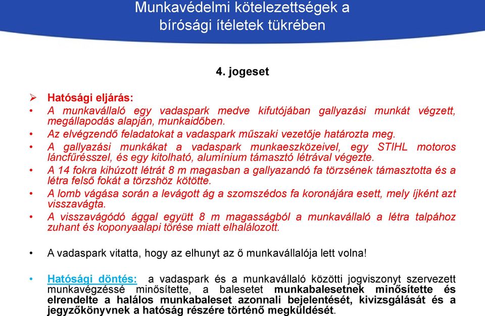 A gallyazási munkákat a vadaspark munkaeszközeivel, egy STIHL motoros láncfűrésszel, és egy kitolható, alumínium támasztó létrával végezte.