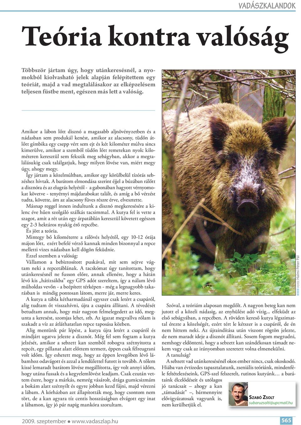 Amikor a lábon lőtt disznó a magasabb aljnövényzetben és a nádasban sem produkál kenést, amikor az alacsony, tüdőn átlőtt gímbika egy csepp vért sem ejt és két kilométer múlva sincs kimerülve, amikor