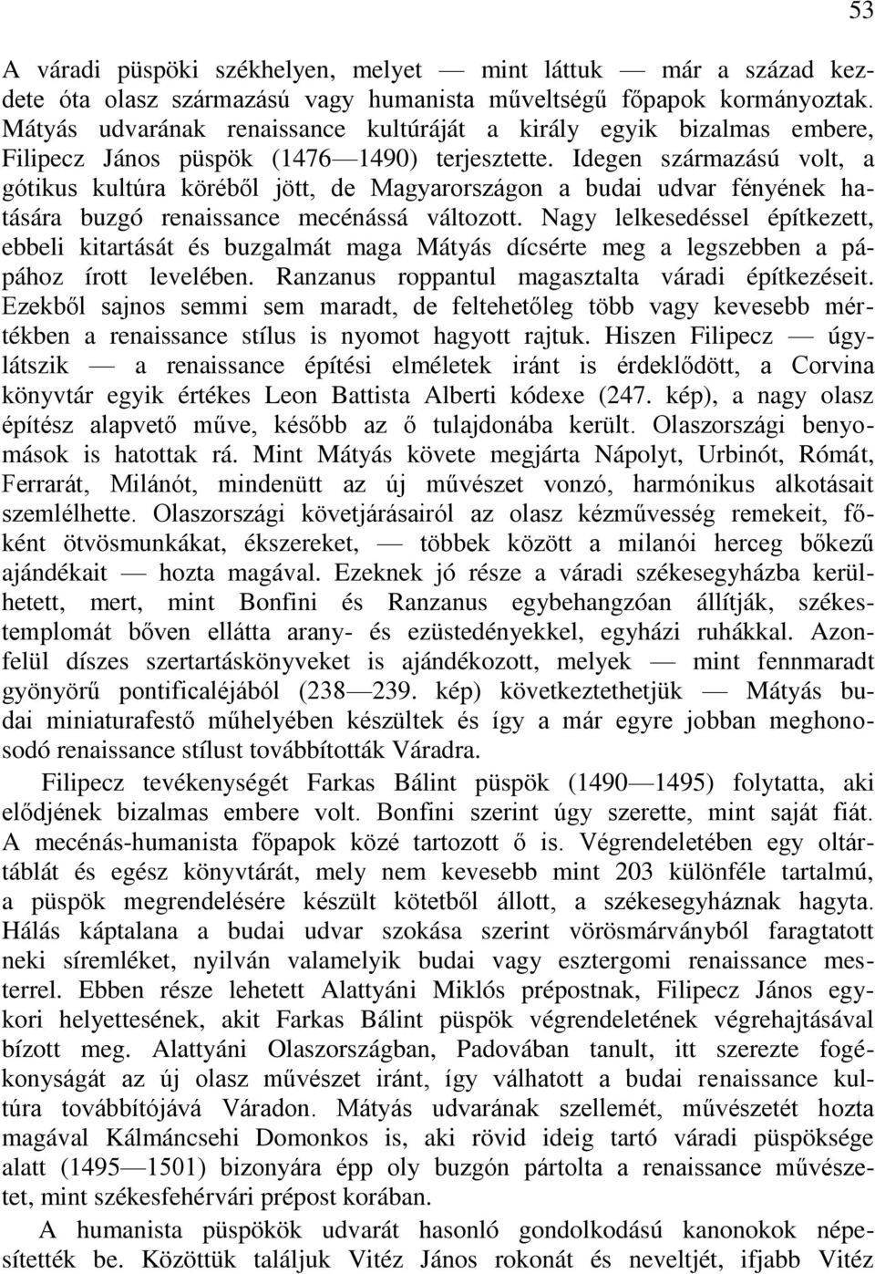 Idegen származású volt, a gótikus kultúra köréből jött, de Magyarországon a budai udvar fényének hatására buzgó renaissance mecénássá változott.