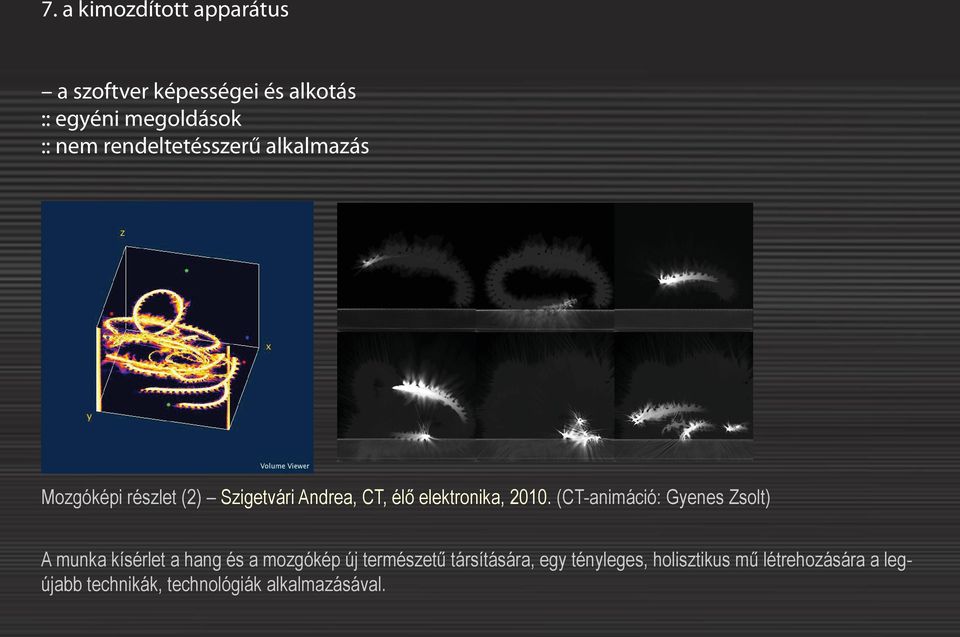2010. (CT-animáció: Gyenes Zsolt) A munka kísérlet a hang és a mozgókép új természetű