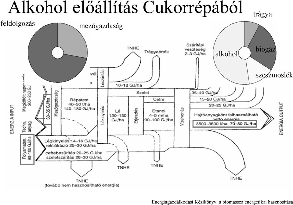 biogáz szeszmoslék Energiagazdálkodási