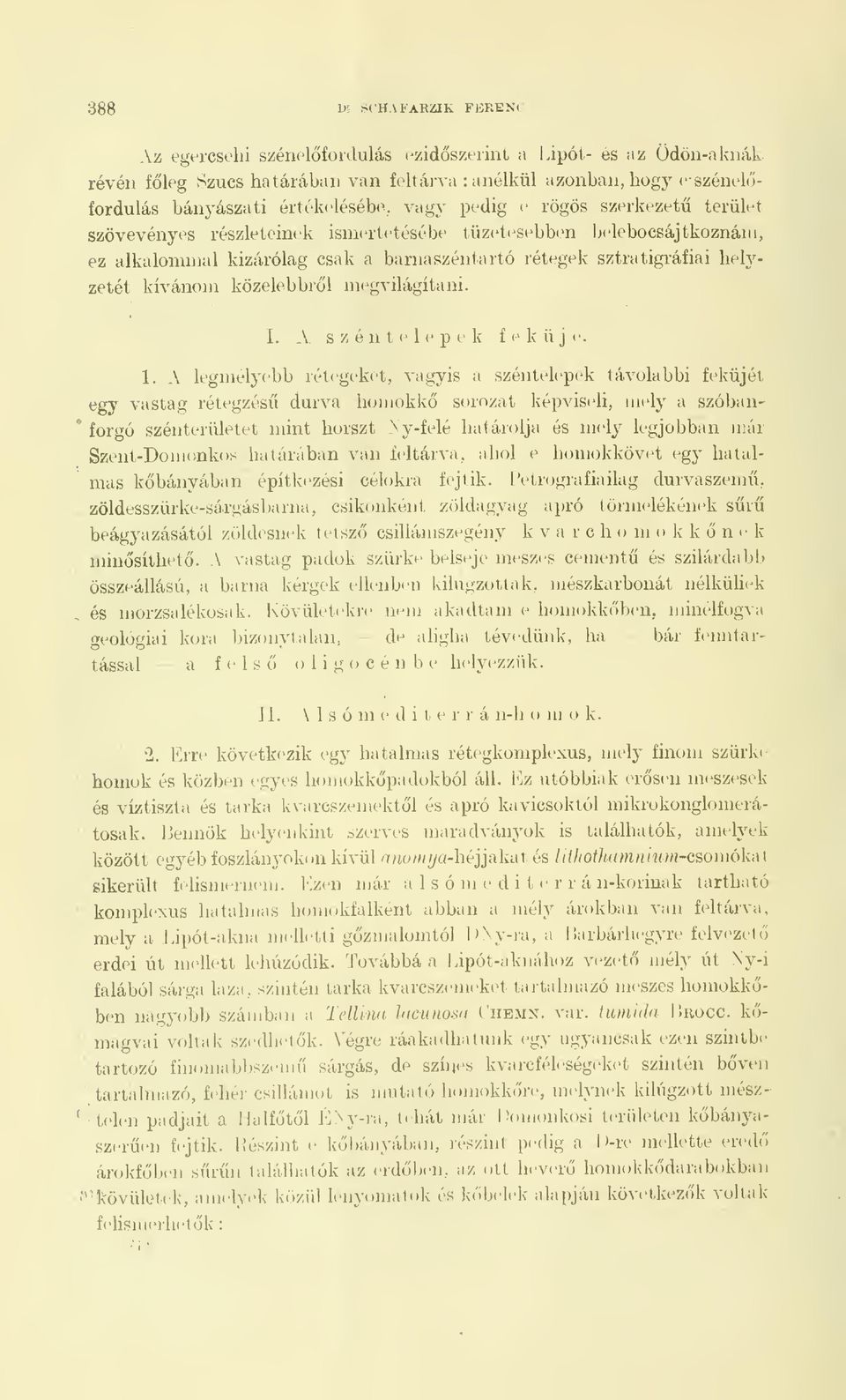 közelebbró'l megvilágítani. I. A SZÓ 11