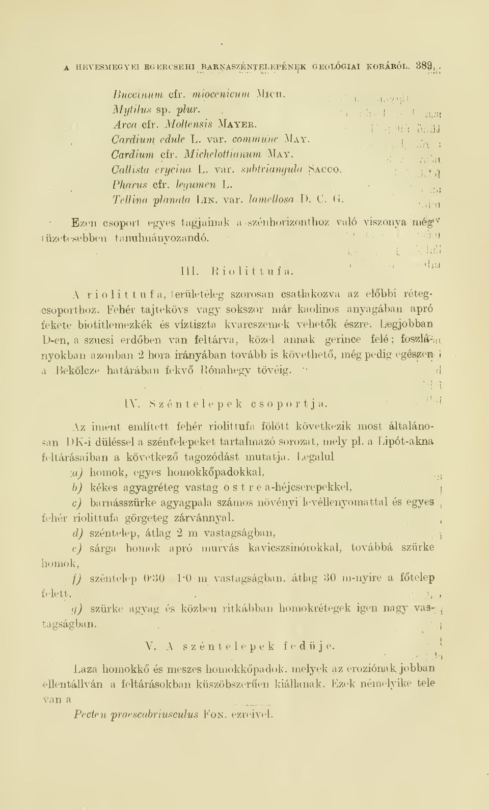 szénhorizonthoz Való viszonya még1 v tüzetesebben tanulmányozandó. lijm III. Riolittufa. '.? A r i o li 1 1 uf a, íerületéleg szorosan csatlakozva az elbbi rétegcsoporthoz.