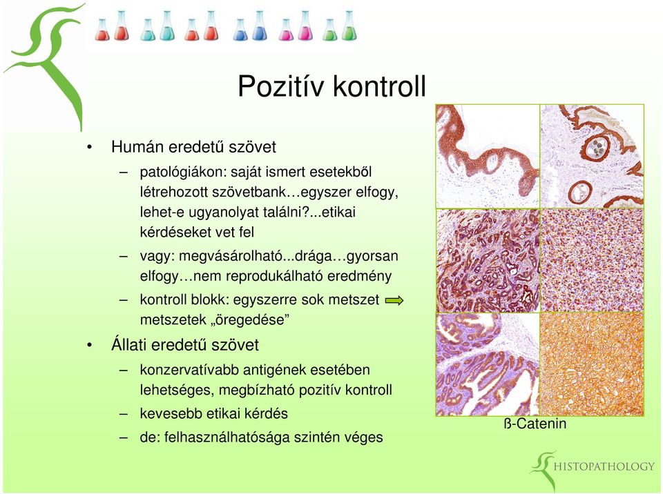 ..drága gyorsan elfogy nem reprodukálható eredmény kontroll blokk: egyszerre sok metszet metszetek öregedése Állati