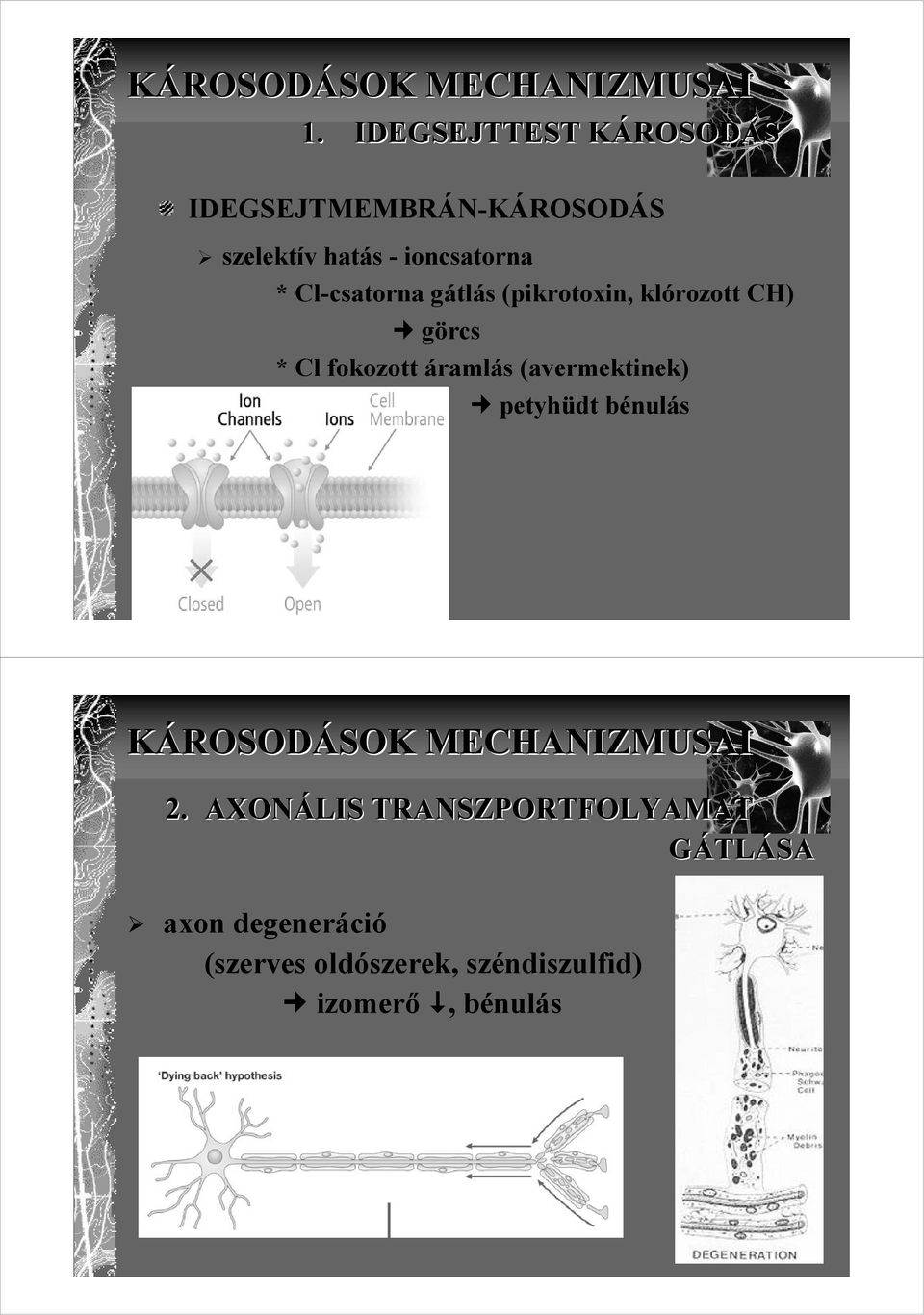 Cl-csatorna gátlás (pikrotoxin, klórozott CH) görcs * Cl fokozott áramlás