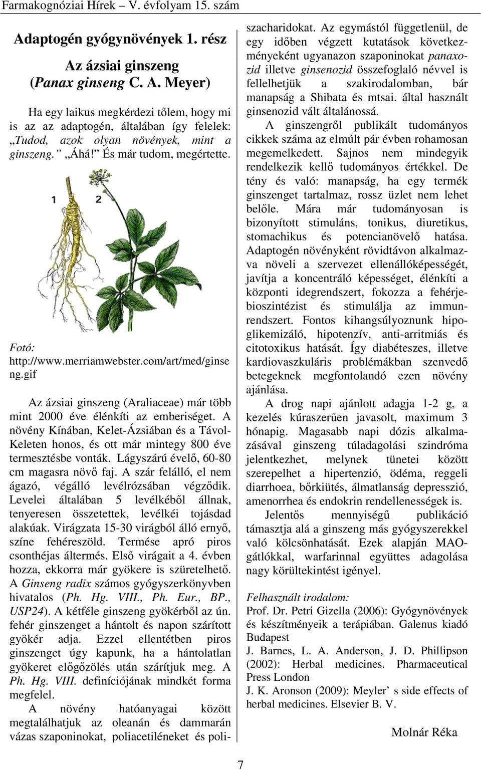 A növény Kínában, Kelet-Ázsiában és a Távol- Keleten honos, és ott már mintegy 800 éve termesztésbe vonták. Lágyszárú évelı, 60-80 cm magasra növı faj.