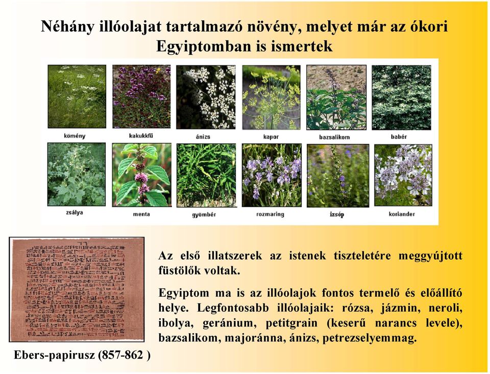 Ebers-papirusz (857-862 ) Egyiptom ma is az illóolajok fontos termelő és előállító helye.