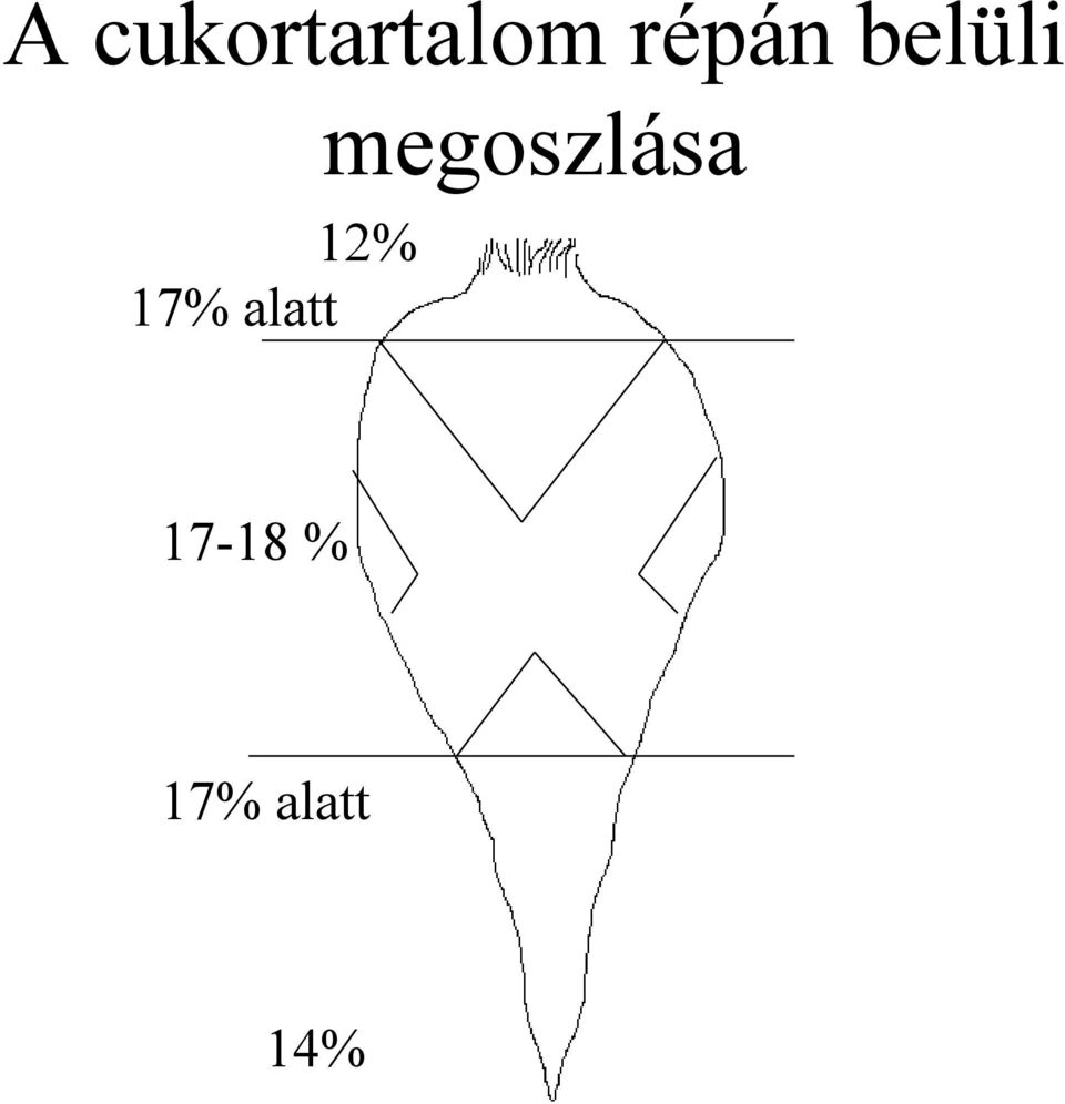 megoszlása 12% 17%