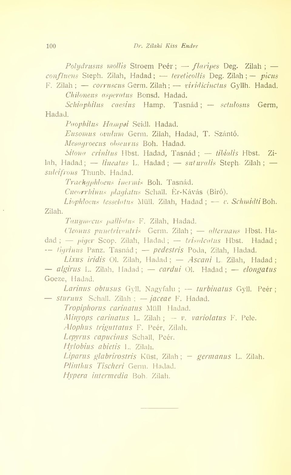 Hadad, Tasnád tibicdis Hbst. Zilah, Hadad Uneatus L. Hadad sut urális Steph. Zilah sulcifrons Thunb. Hadad. Zilah. Trachyphloens inermis Boh. Tasnád. Cneorrhinus plagiatus Schall. Er-Kávás (Biró).