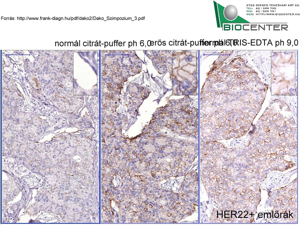 pdf normál citrát-puffer ph 6,0erős