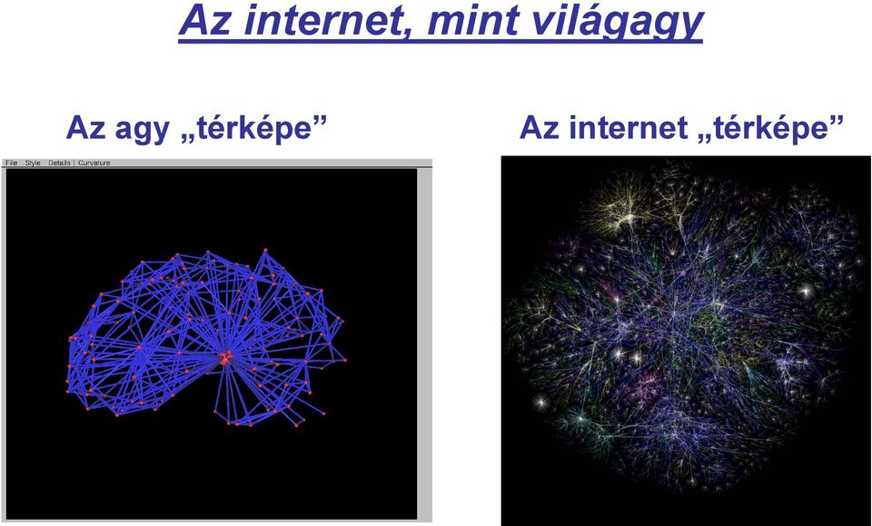 Az agy térképe