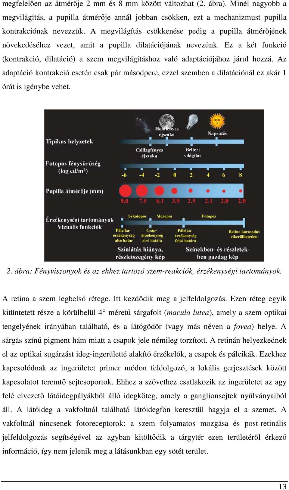 Ez a két funkció (kontrakció, dilatáció) a szem megvilágításhoz való adaptációjához járul hozzá.