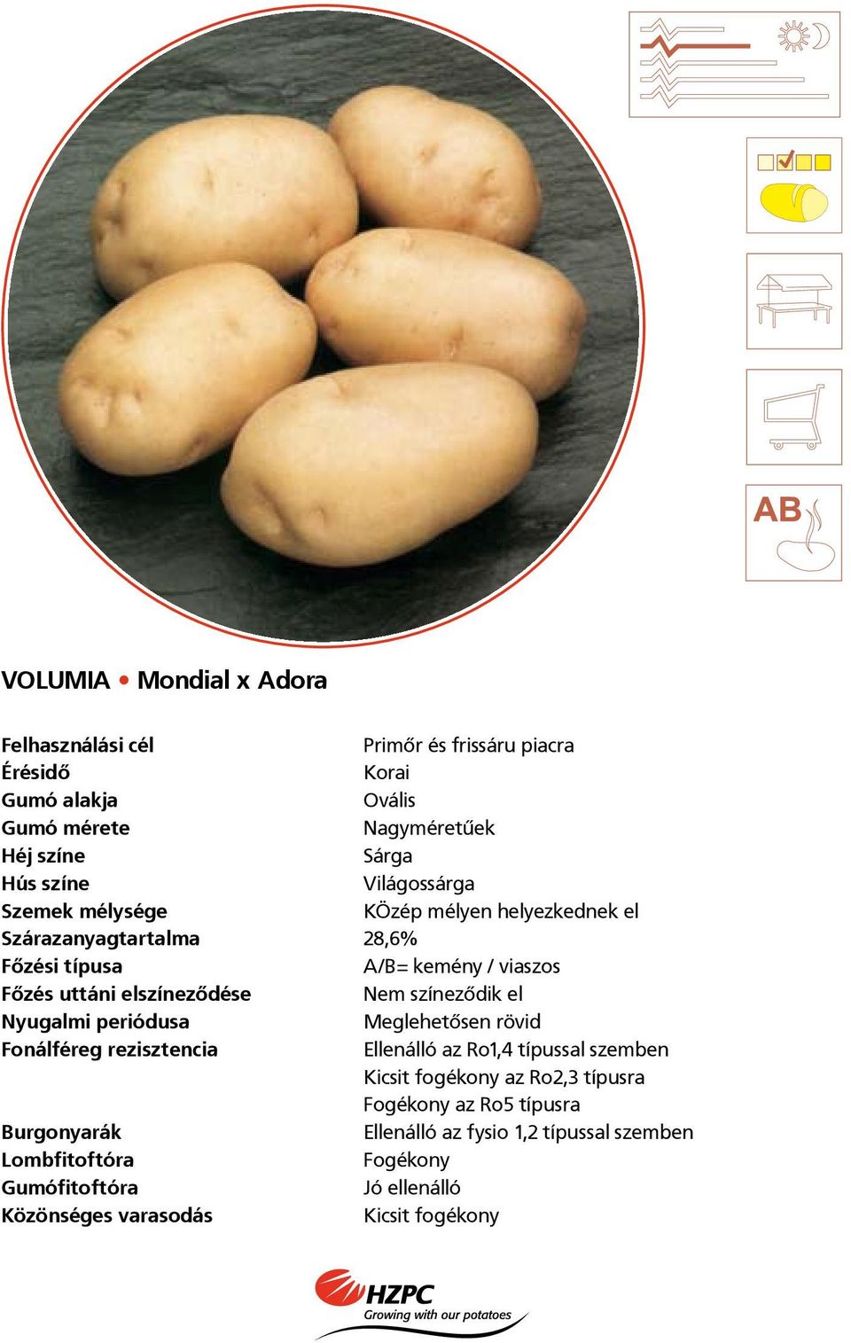 elszíneződése Meglehetősen rövid Ellenálló az Ro1,4 típussal szemben Kicsit fogékony az