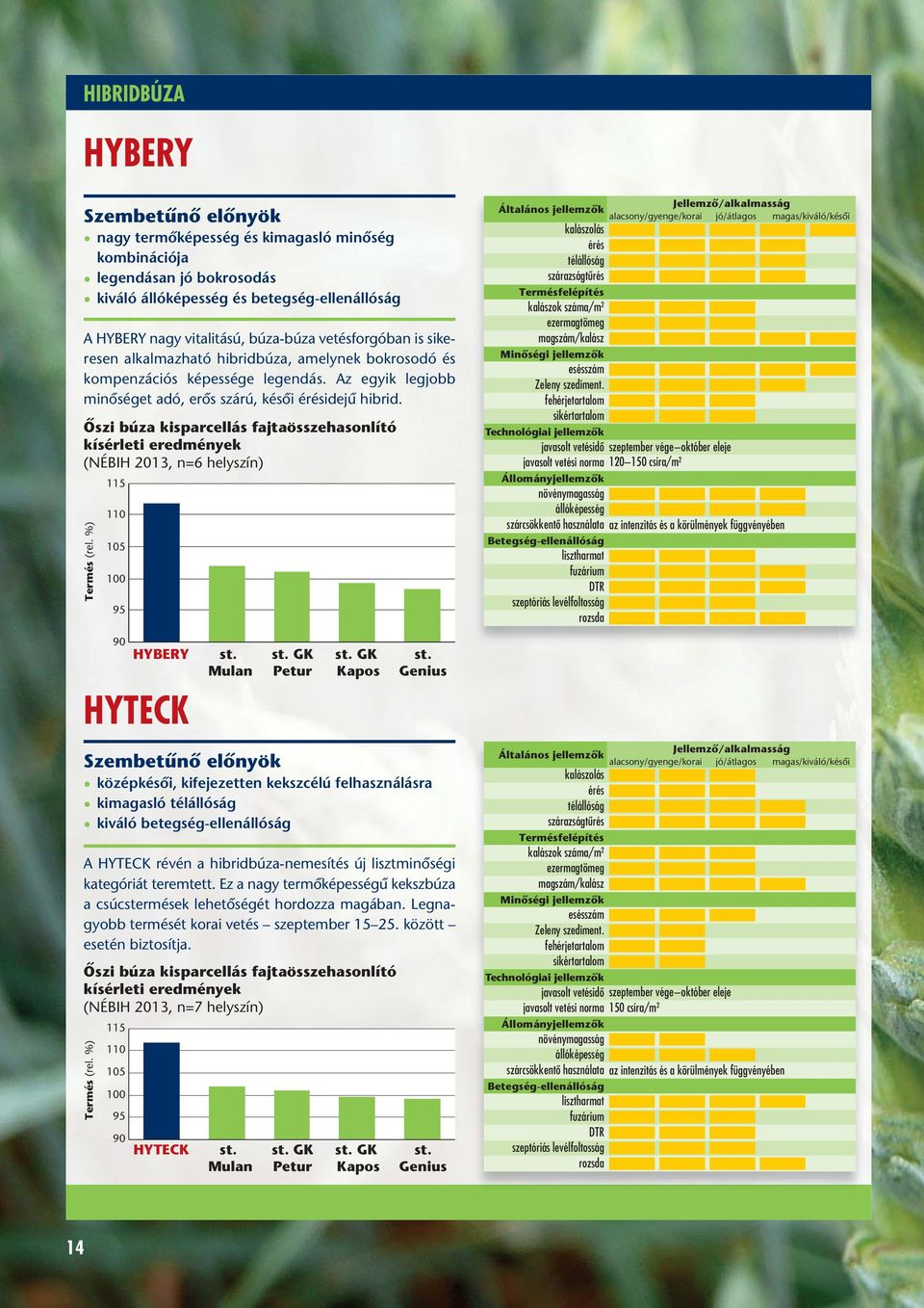 Ôszi búza kisparcellás fajtaösszehasonlító kísérleti eredmények (NÉBIH 2013, n=6 helyszín) Termés (rel. %) 115 110 105 100 95 90 HYBERY HYTECK st. Mulan st. GK Petur st. GK Kapos st.