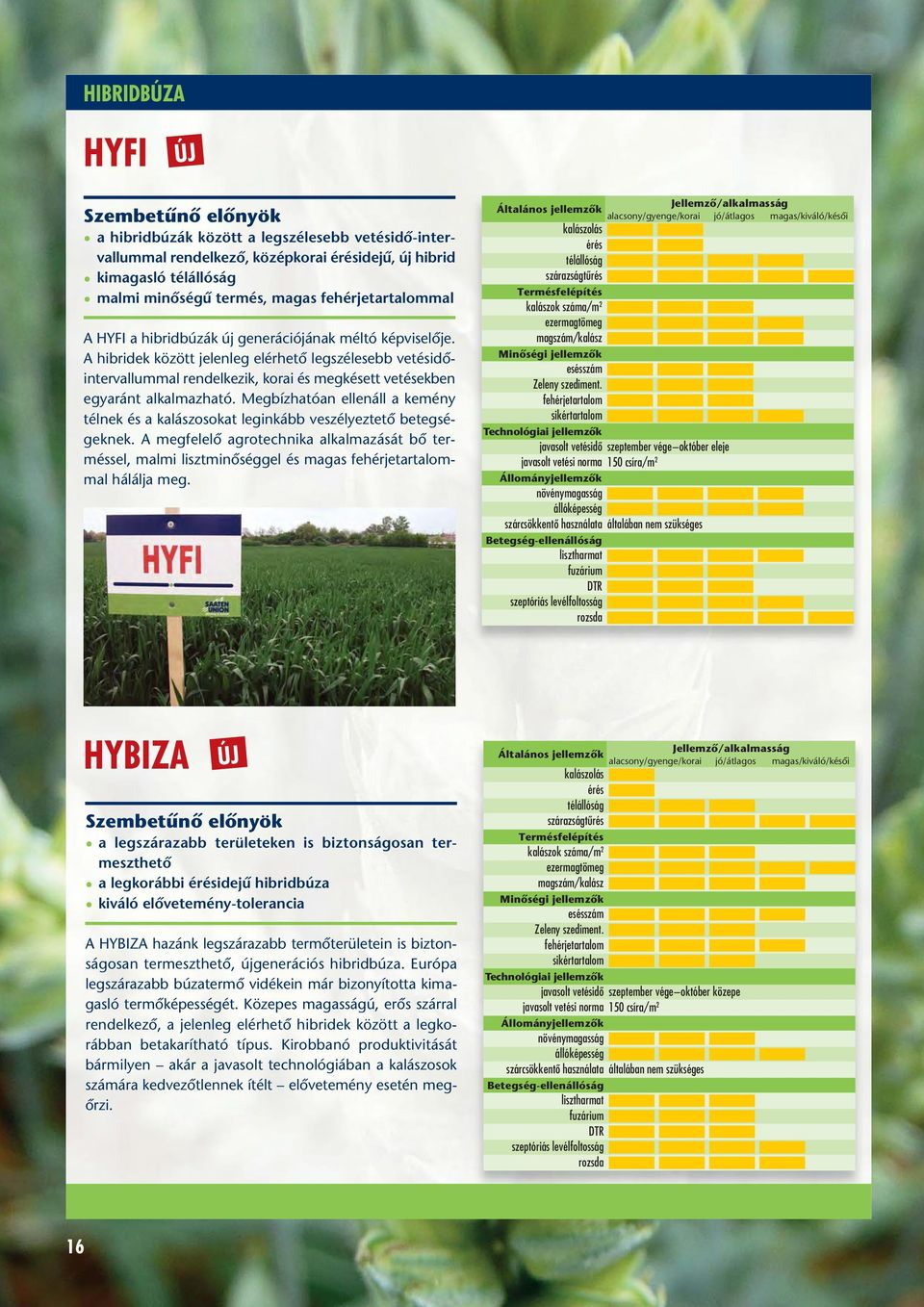 Megbízhatóan ellenáll a kemény télnek és a kalászosokat leginkább veszélyeztetô beteg sé - geknek. A megfelelô agrotechnika alkalmazását bô terméssel, malmi lisztminôséggel és magas mal hálálja meg.