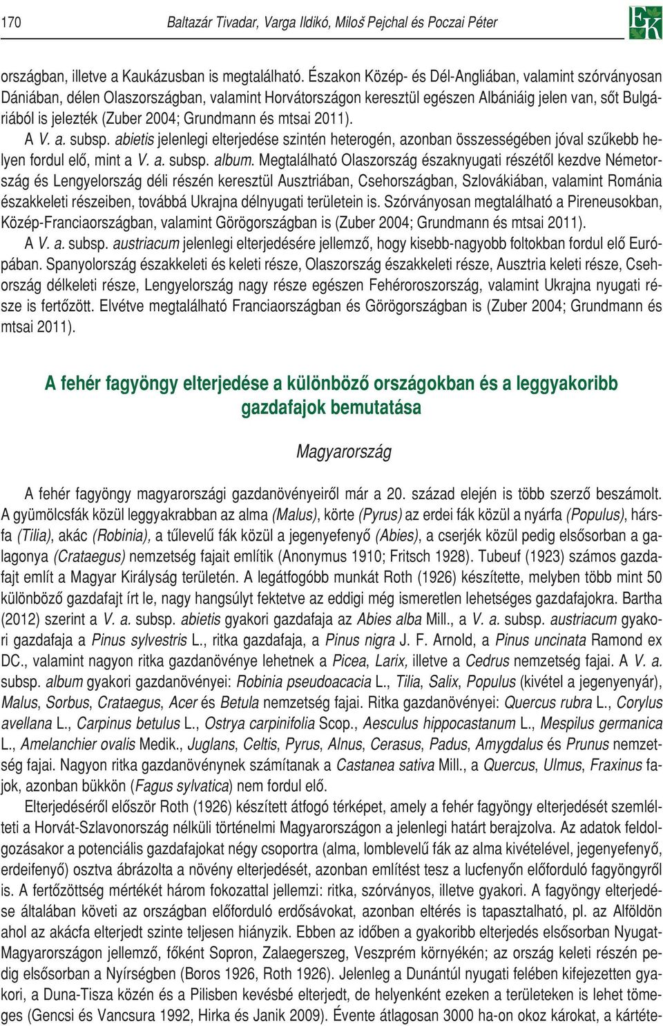 Grundmann és mtsai 2011). A V. a. subsp. abietis jelenlegi elterjedése szintén heterogén, azonban összességében jóval szûkebb helyen fordul elô, mint a V. a. subsp. album.