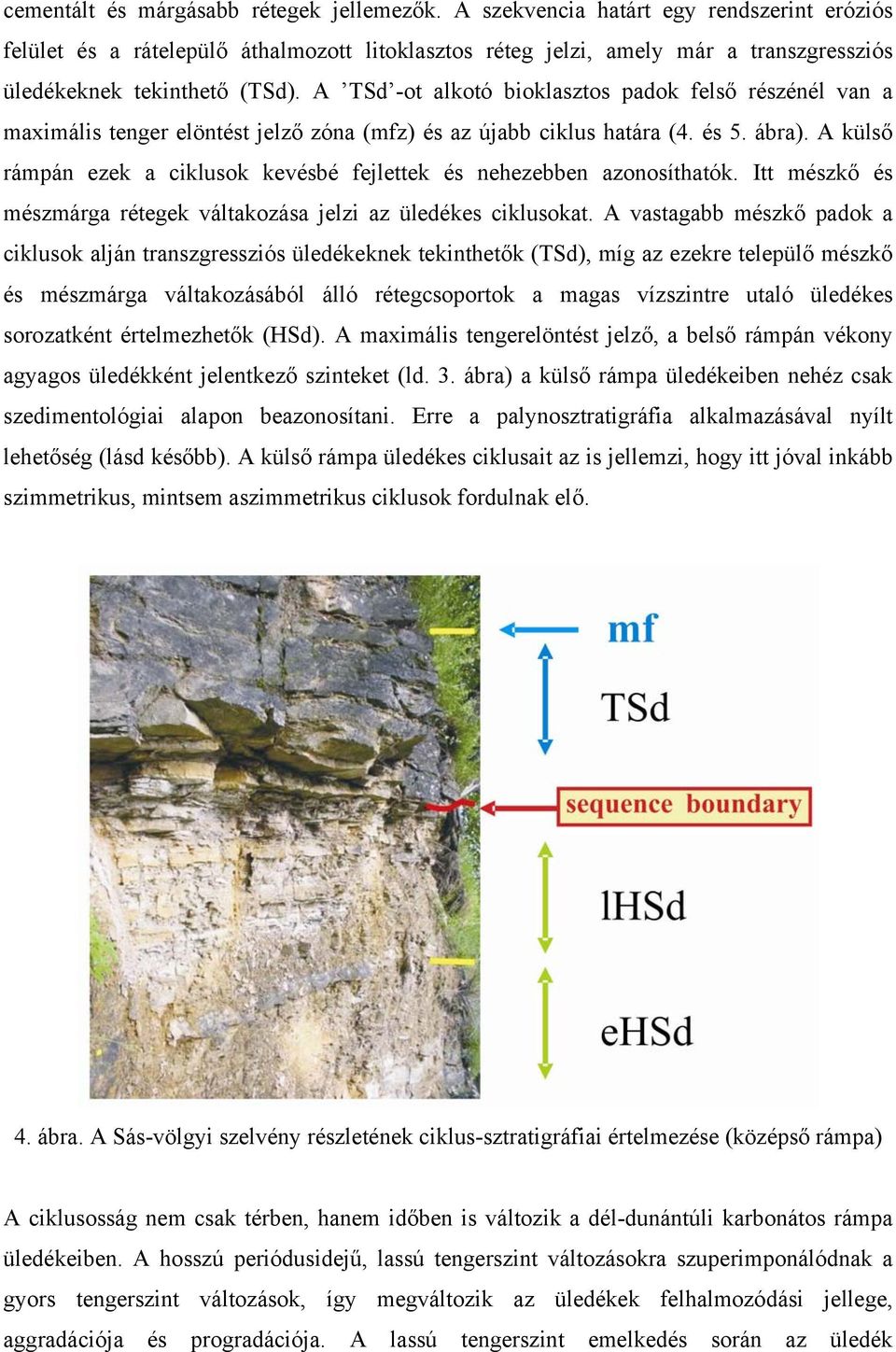 A TSd -ot alkotó bioklasztos padok felső részénél van a maximális tenger elöntést jelző zóna (mfz) és az újabb ciklus határa (4. és 5. ábra).