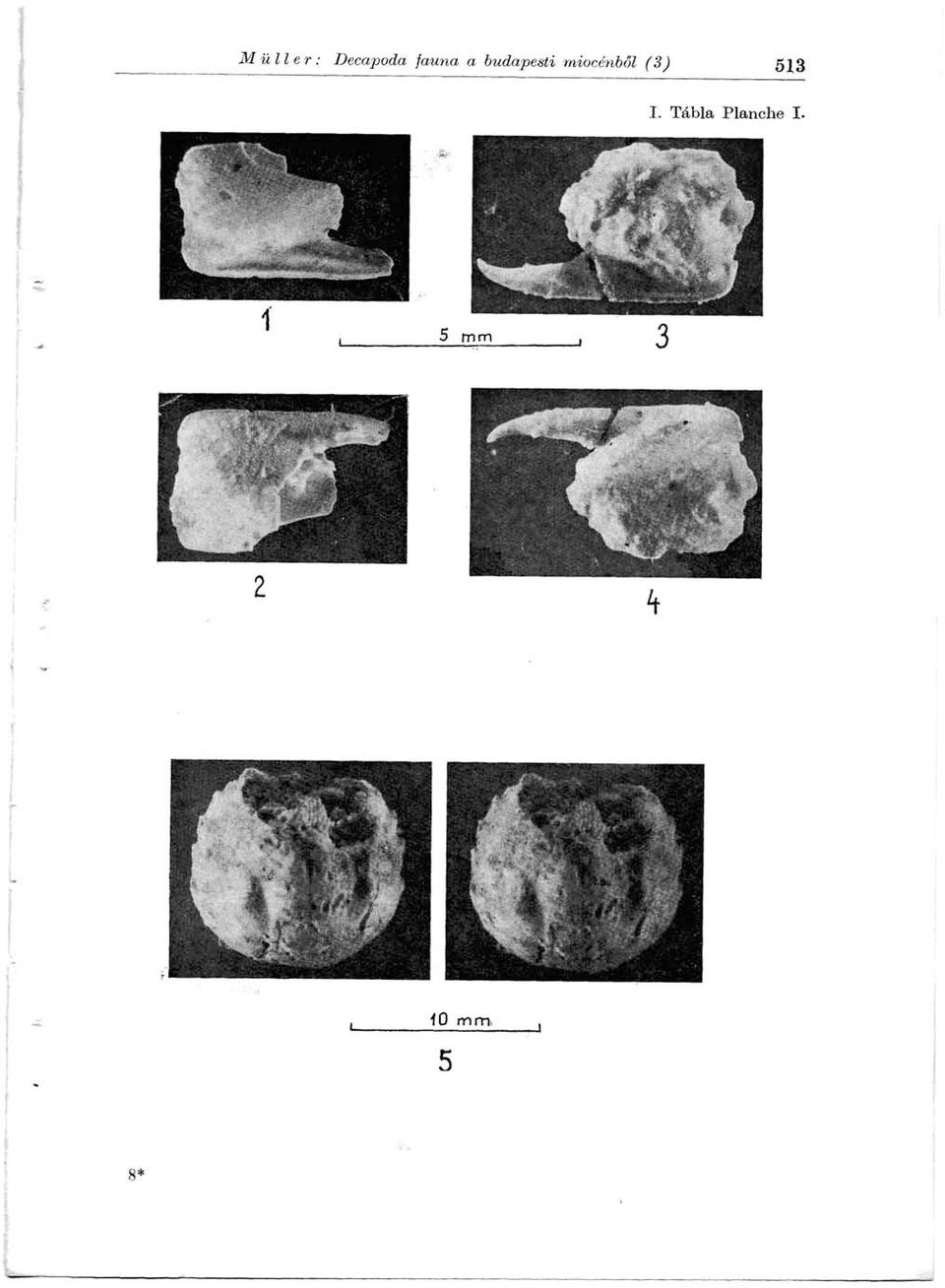 miocénből (3) 513 I.