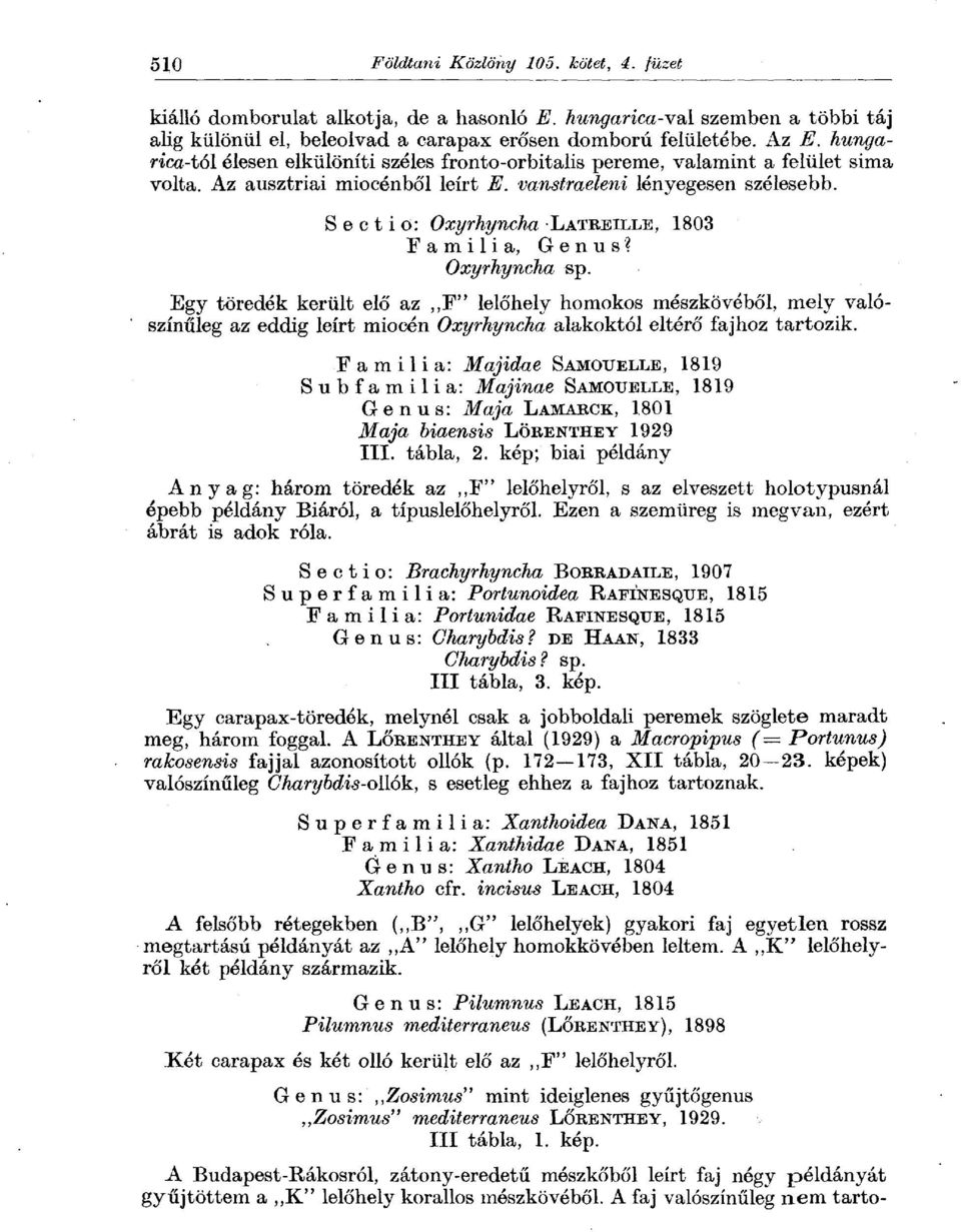 Sectio: Oxyrhyncha LíATUiiiLL^, 1803 Familia, Genus? Oxyrhyncha sp.