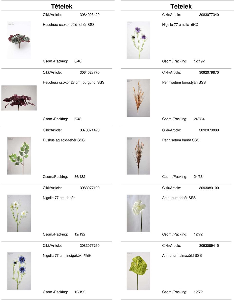 /Packing: 24/384 Cikk/Article: 3073071420 Ruskus ág zöld-fehér Cikk/Article: 3092079880 Pennisetum barna Csom./Packing: 36/432 Csom.