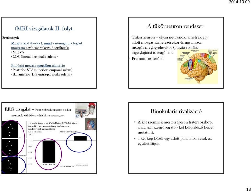 temporal sulcus) Bal anterior IPS (intra-parietális sulcus ) A tükörneuron rendszer Tükörneuron = olyan neuronok, amelyek egy adott mozgás kivitelezésekor és ugyanazon mozgás megfigyelésekor (puszta