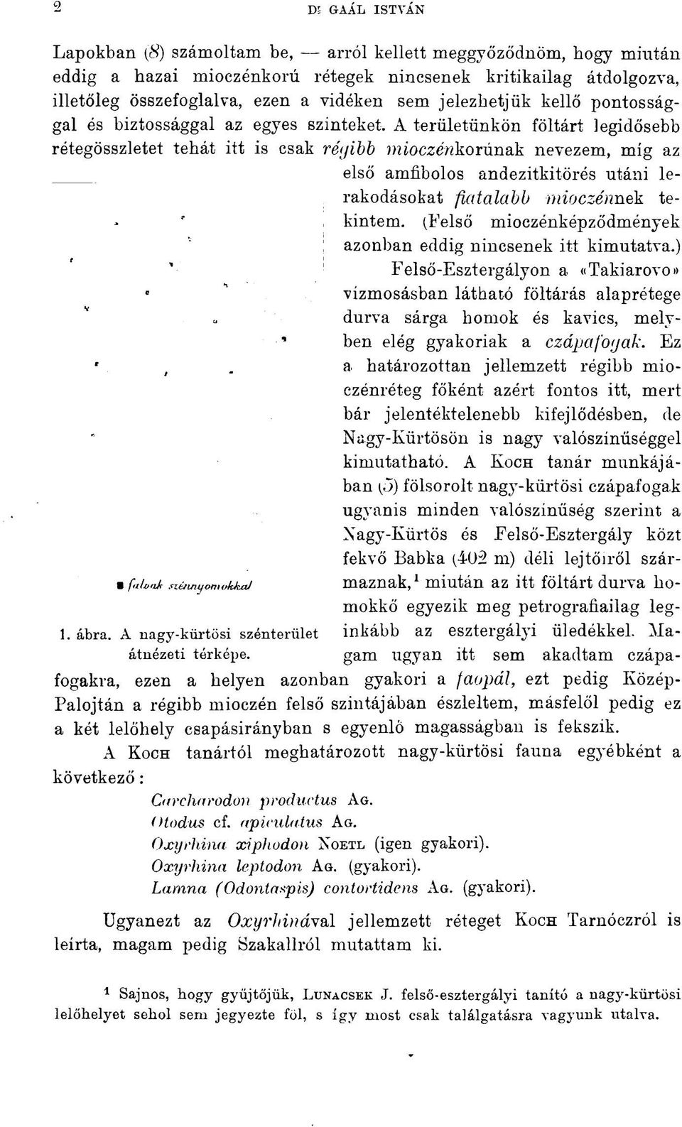 A területünkön föltárt legidősebb rétegösszletet tehát itt is csak régibb mioczérikorúnak nevezem, míg az első amfibolos andezitkitörés utáni lerakodásokat fiatalabb mioczénnek tekintem.