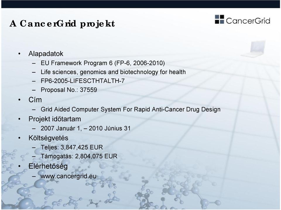 : 37559 Grid Aided Computer System For Rapid Anti-Cancer Drug Design Projekt időtartam 2007