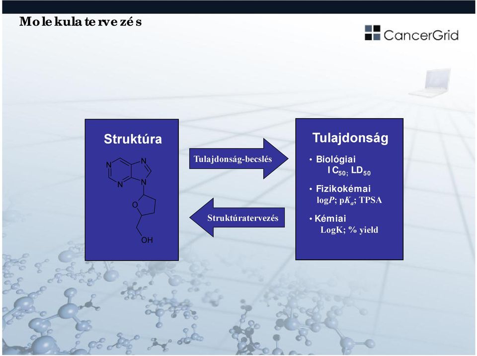 Struktúratervezés Biológiai IC 50; LD 50