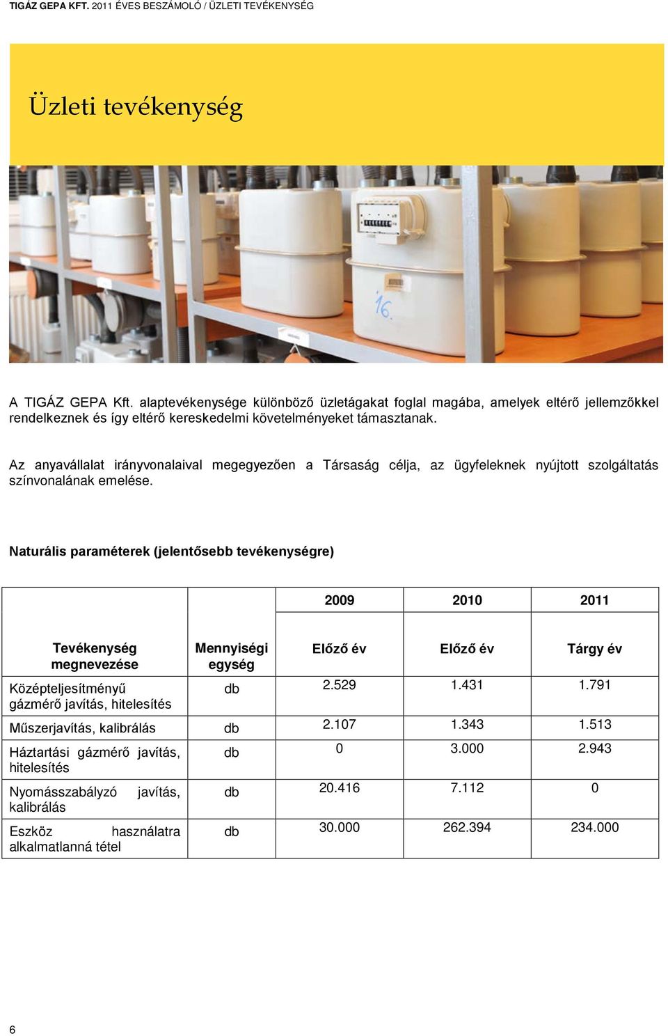 Az anyavállalat irányvonalaival megegyezően a Társaság célja, az ügyfeleknek nyújtott szolgáltatás színvonalának emelése.
