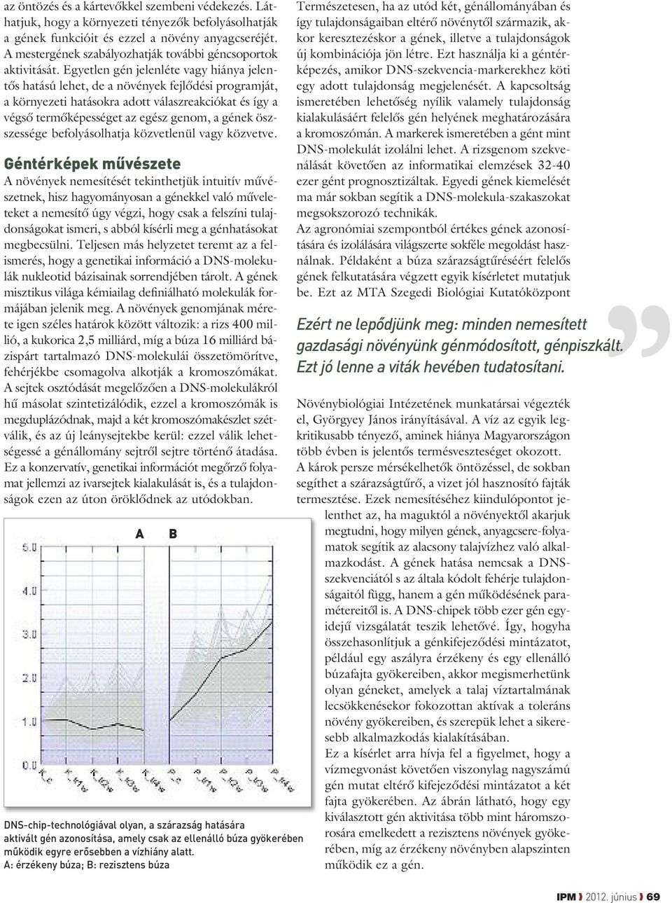 Egyetlen gén jelenléte vagy hiánya jelentôs hatású lehet, de a növények fejlôdési programját, a környezeti hatásokra adott válaszreakciókat és így a végsô termôképességet az egész genom, a gének ösz