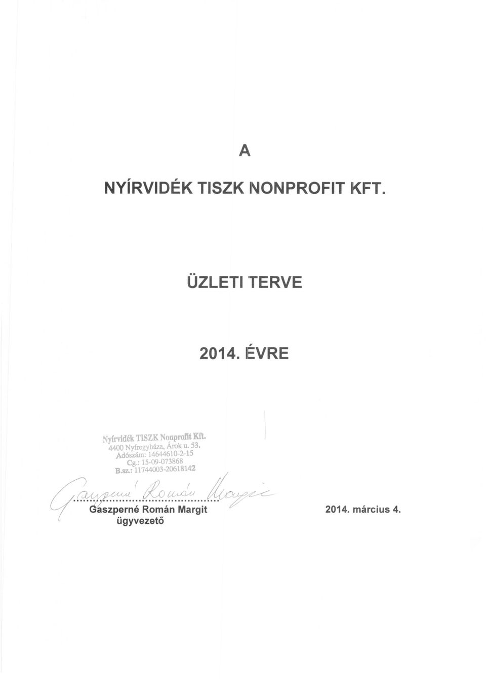 ÜZLETI TERVE 2014.