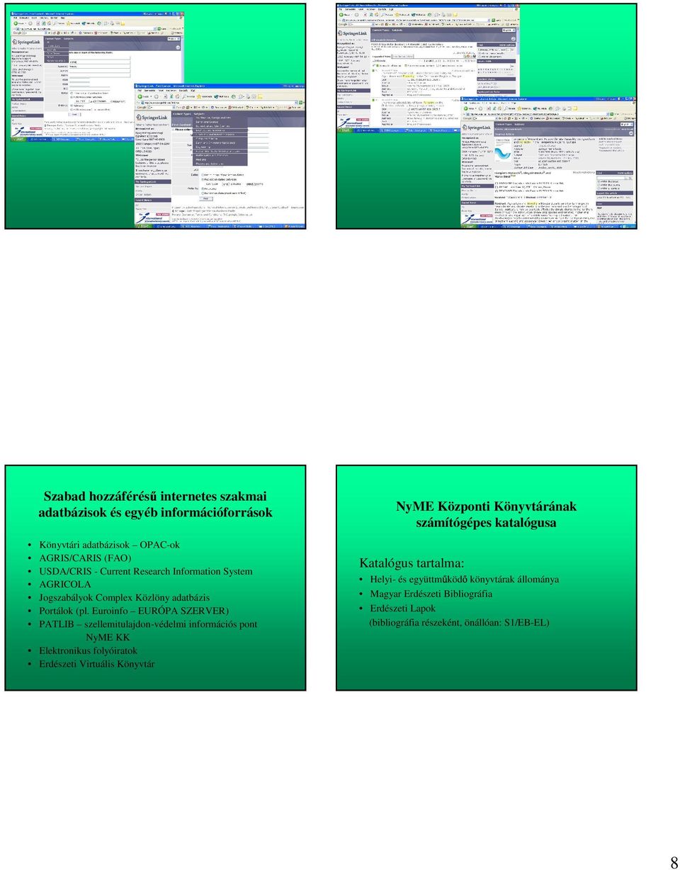 Euroinfo EURÓPA SZERVER) PATLIB szellemitulajdon-védelmi információs pont NyME KK Elektronikus folyóiratok Erdészeti Virtuális Könyvtár NyME