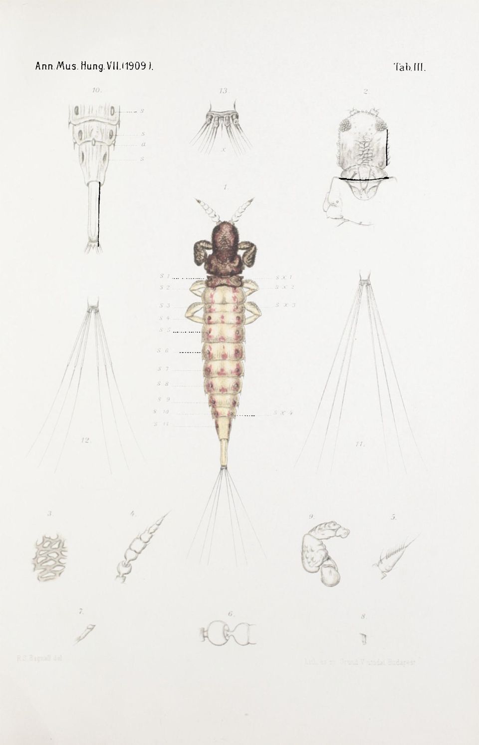 <1909 ).