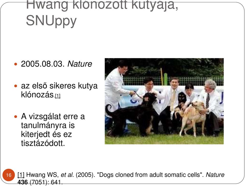 [1] A vizsgálat erre a tanulmányra is kiterjedt és ez