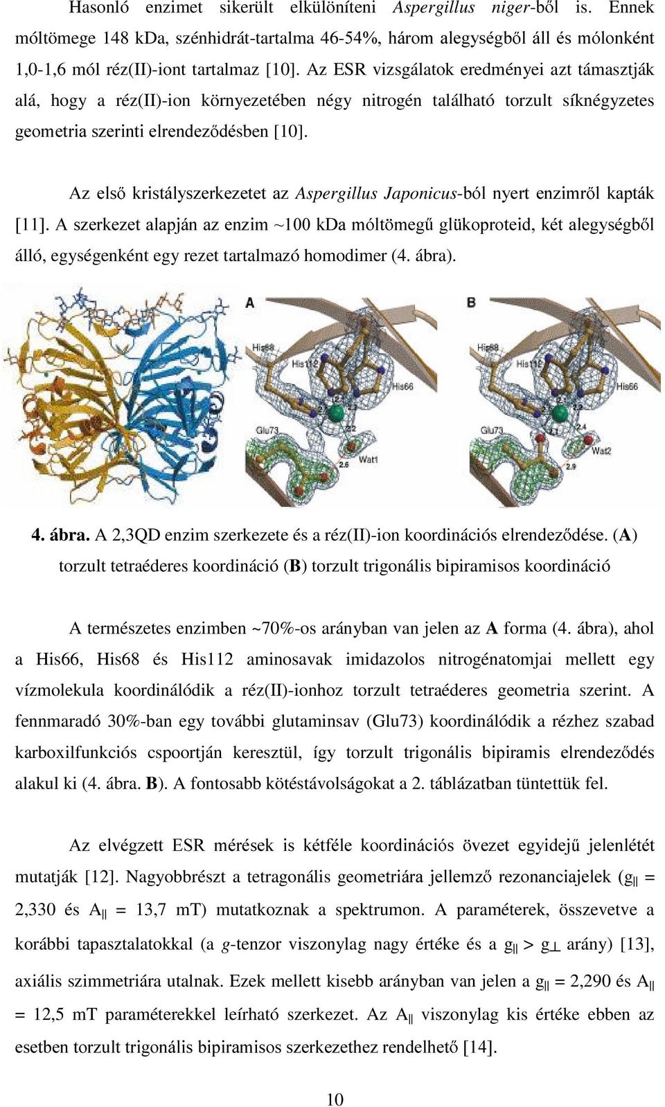 $] HV ULVWi\V]HUH]HWHW D]Aspergillus Japonicus-Ey Q\HUW HQ]LPU DSWi >@$V]HUH]HWDDSMiQD]HQ]LPa'DPyW PHJ J SUWHLGpWDHJ\VpJE álló, egységenként egy rezet tartalmazó homodimer (4. ábra)