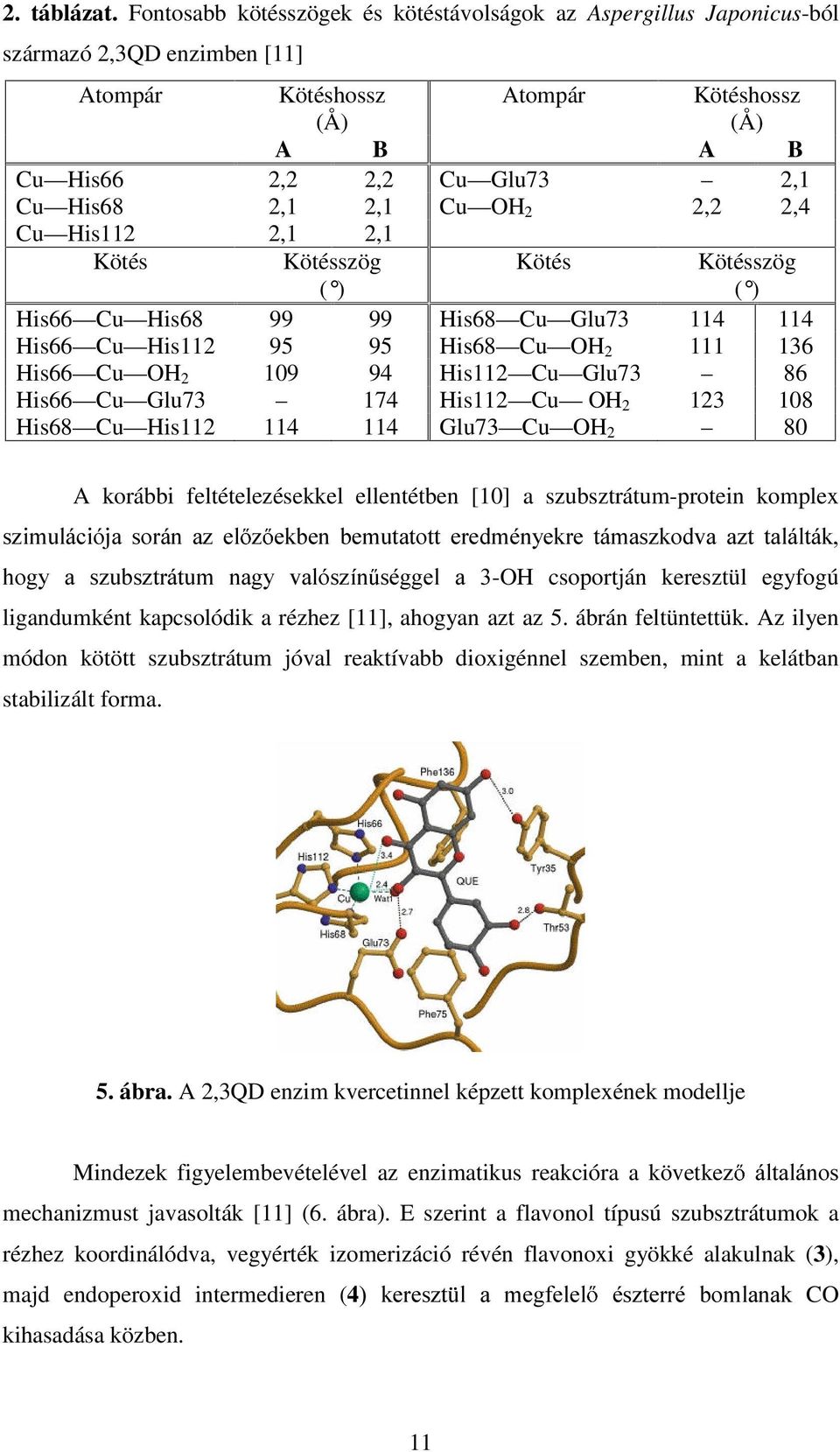 Cu H 2 2,2 2,4 Cu His112 2,1 2,1 Kötés Kötésszög ( ) Kötés Kötésszög ( ) His66 Cu His68 99 99 His68 Cu Glu73 114 114 His66 Cu His112 95 95 His68 Cu H 2 111 136 His66 Cu H 2 109 94 His112 Cu Glu73 86