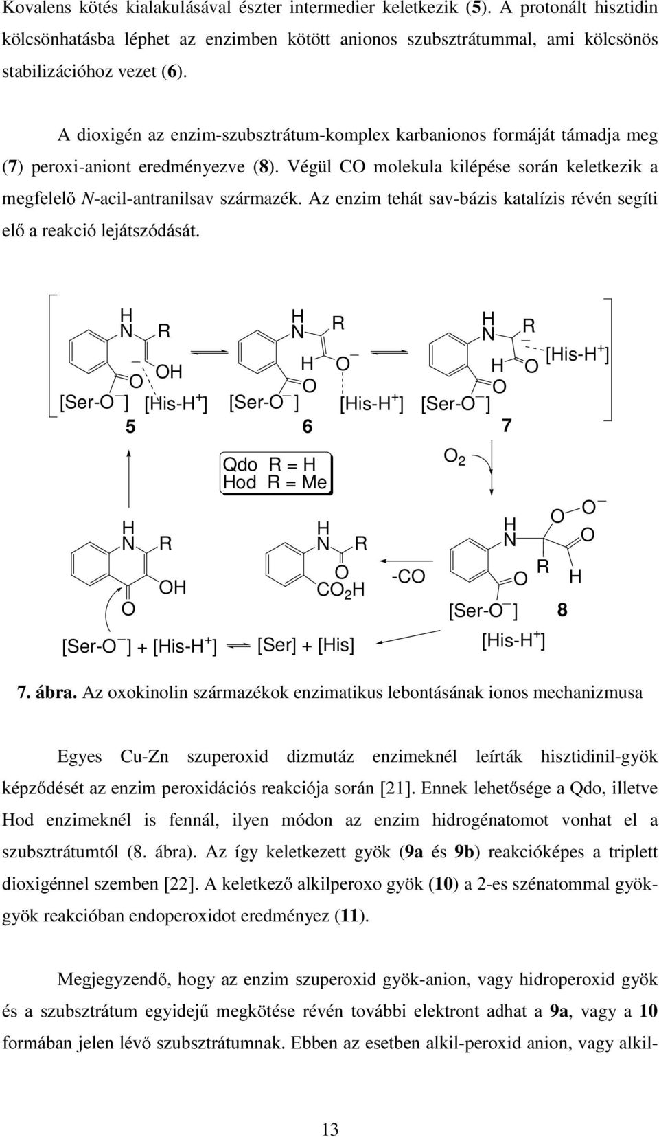 Az enzim tehát sav-bázis katalízis révén segíti H DUHDFLyHMiWV]yGiViW H H H H [Ser- ] [His-H + ] [Ser- ] [His-H + ] [Ser- ] 5 6 7 H H [His-H+ ] H H [Ser- ] + [His-H + ] Qdo = H Hod = Me H C 2 H [Ser]
