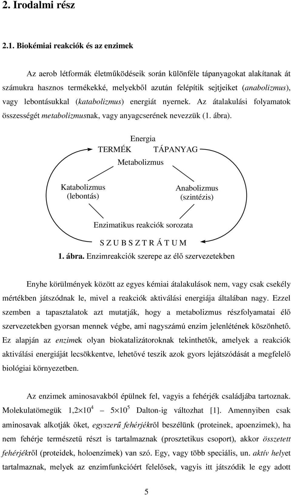 energiát nyernek. Az átalakulási folyamatok összességét metabolizmusnak, vagy anyagcserének nevezzük (1. ábra).
