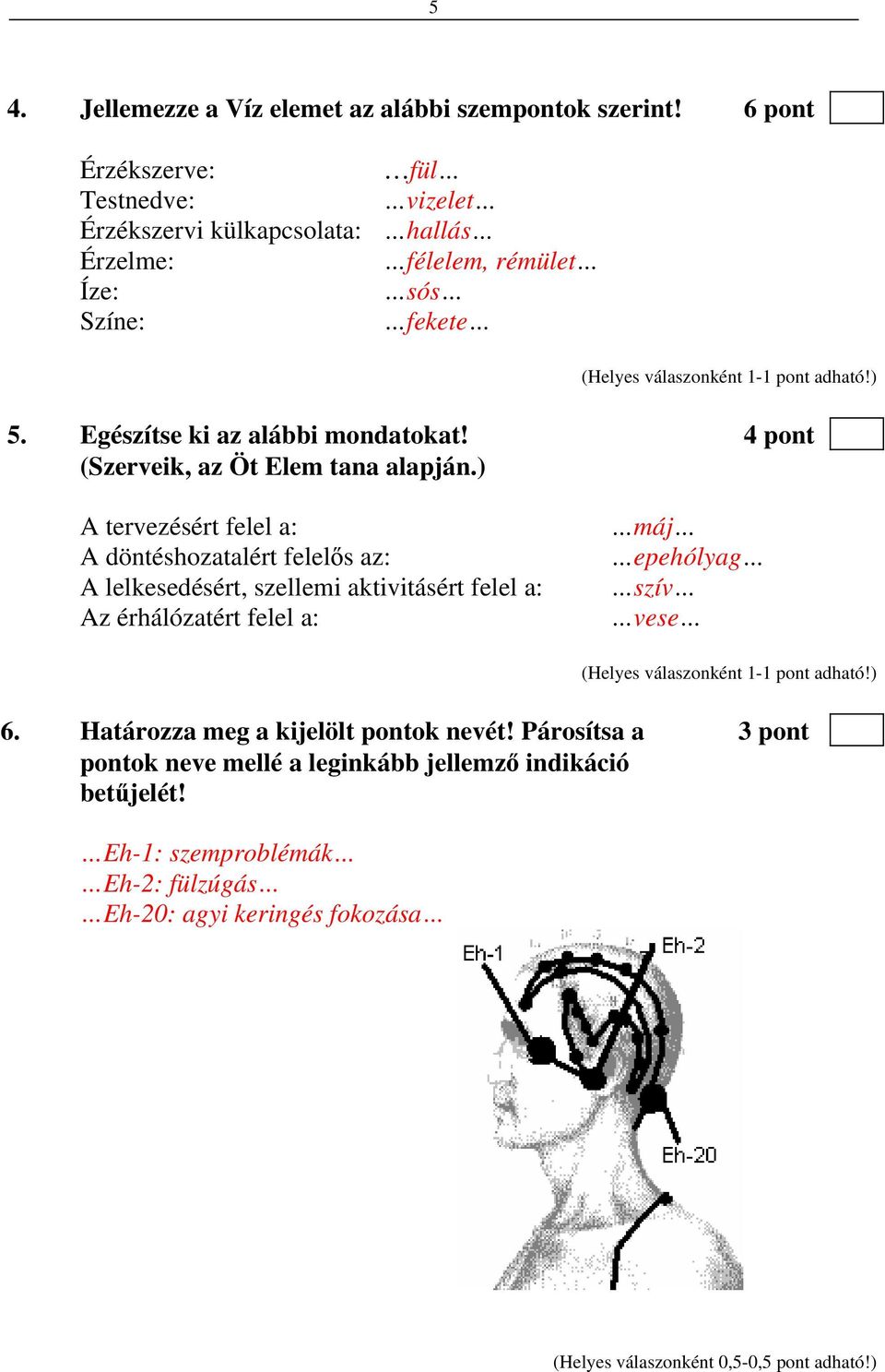 Egészítse ki az alábbi mondatokat! 4 pont (Szerveik, az Öt Elem tana alapján.