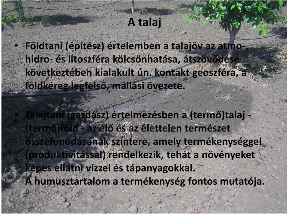 Talajtani (gazdász) értelmezésben a (termő)talaj - (termő)föld -az élő és az élettelen természet összefonódásának