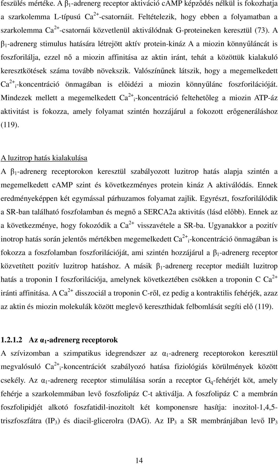 A β 1 -adrenerg stimulus hatására létrejött aktív protein-kináz A a miozin könnyűláncát is foszforilálja, ezzel nő a miozin affinitása az aktin iránt, tehát a közöttük kialakuló keresztkötések száma