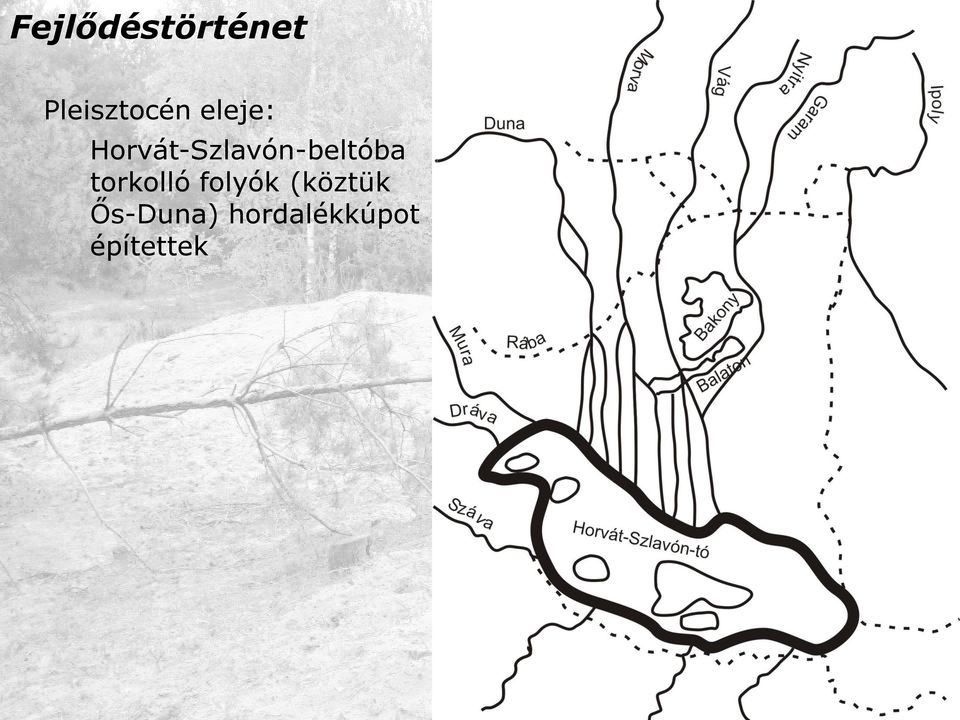 Horvát-Szlavón-beltóba