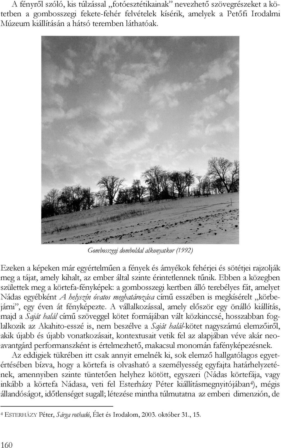 Gombosszegi domboldal alkonyatkor (1992) Ezeken a képeken már egyértelműen a fények és árnyékok fehérjei és sötétjei rajzolják meg a tájat, amely kihalt, az ember által szinte érintetlennek tűnik.