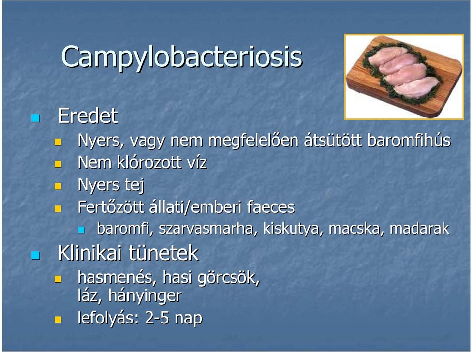 faeces baromfi, szarvasmarha, kiskutya, macska, madarak Klinikai