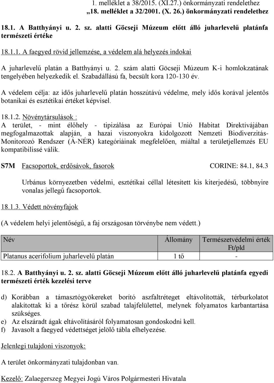 szám alatti Göcseji Múzeum K-i homlokzatának tengelyében helyezkedik el. Szabadállású fa, becsült kora 120-130 év.