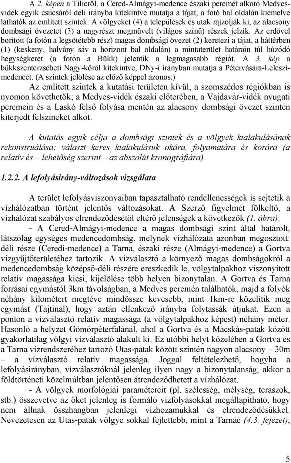 Az erdővel borított (a fotón a legsötétebb rész) magas dombsági övezet (2) keretezi a tájat, a háttérben (1) (keskeny, halvány sáv a horizont bal oldalán) a mintaterület határain túl húzódó