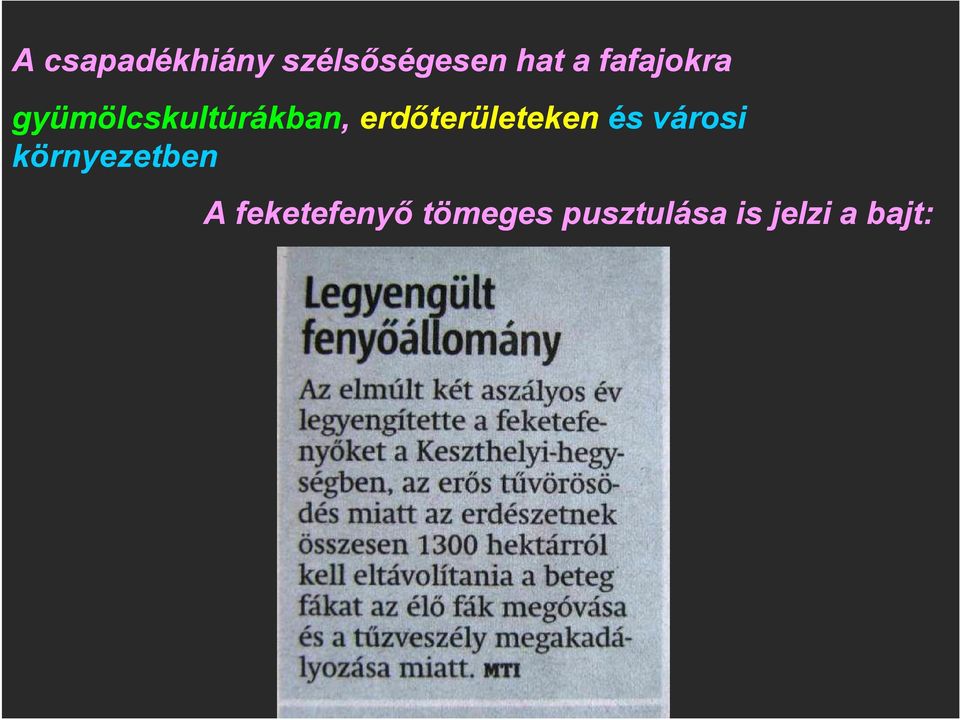 erdőterületeken és városi környezetben