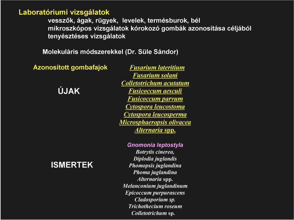 Süle Sándor) Azonosított gombafajok ÚJAK ISMERTEK Fusarium lateritium Fusarium solani Colletotrichum acutatum Fusicoccum aesculi Fusicoccum parvum Cytospora