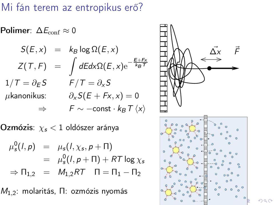 S F/T = x S µkanonikus: x S(E + Fx,x) = 0 F const k B T x Ozmózis: χ s < 1