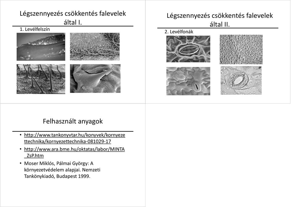 Levélfonák Felhasznált anyagok http://www.tankonyvtar.